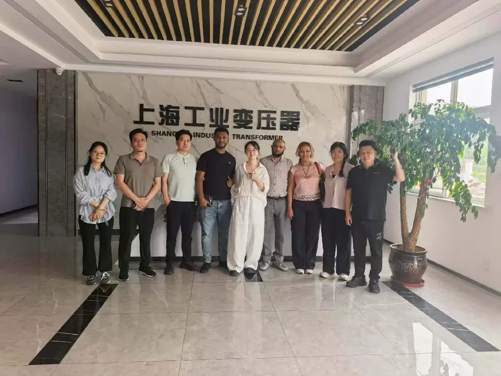 Ongi Etorri beroa! Etiopiako ordezkaritzak Shanghai Industrial Transformer Co., Ltd. bisitatu du Transformadoreen eta potentzia banatzeko ekipoen trukea egiteko